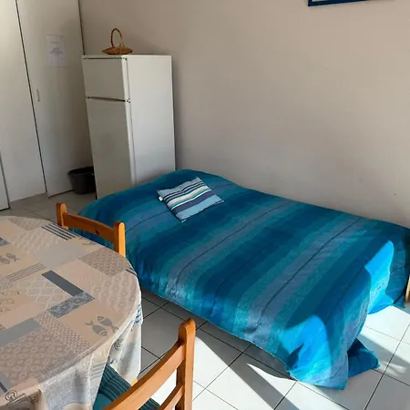 Apartment T2 Avec Terrasse Entre Plages A - Fr-1-309-413