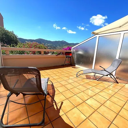 **banyuls-sur-mer: T2 Avec Terrasse, Entre Plages, Randonnees, Et Activites Nautiques !** - Fr-1-309-413