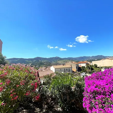 **banyuls-sur-mer: T2 Avec Terrasse, Entre Plages, Randonnees, Et Activites Nautiques !** - Fr-1-309-413